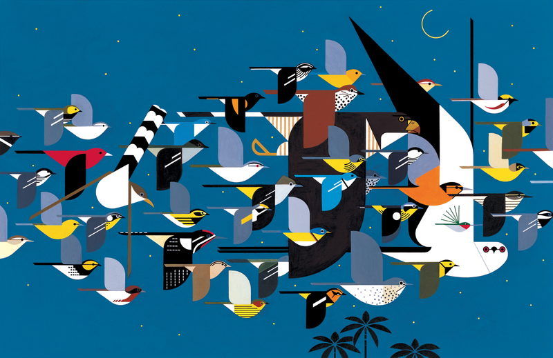 Harper’s original piece for the Audubon Society